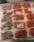 HAMAKATUDOGI080222.jpg