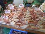 HAMAKATUKANI080222.jpg