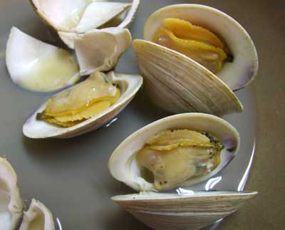HONBINOSUSUAH.jpg