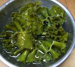 MEKABU070522.jpg