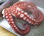 TAKO068.jpg