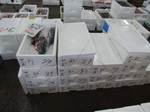 YAZU0701010.jpg