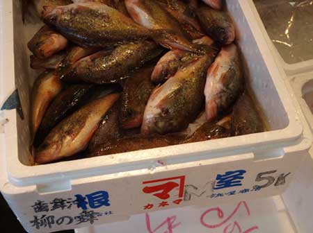 akagaya0906.jpg