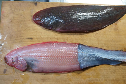 akasitabirame0909.jpg