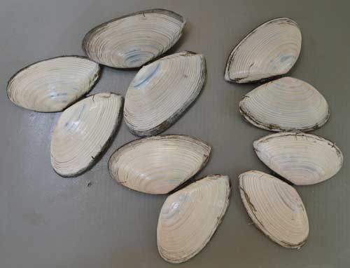 arasuji0909.jpg