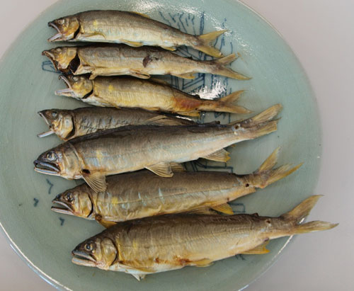 ayu09.jpg