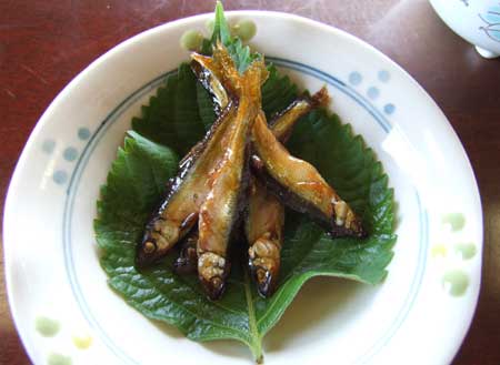 ayu0906.jpg