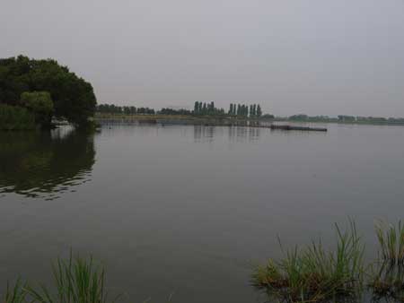 biwako09061.jpg