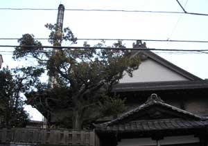 furoya.jpg