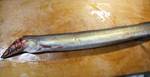 hamo071111.jpg