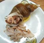 himenaganisi080111.jpg