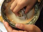 himomomi0810104457.jpg