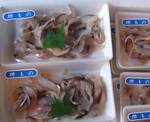 hirasasi0706.jpg