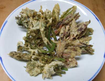 itadori.jpg