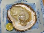 iwagaki08060222.jpg