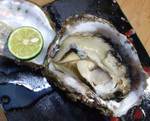 iwagaki080608.jpg