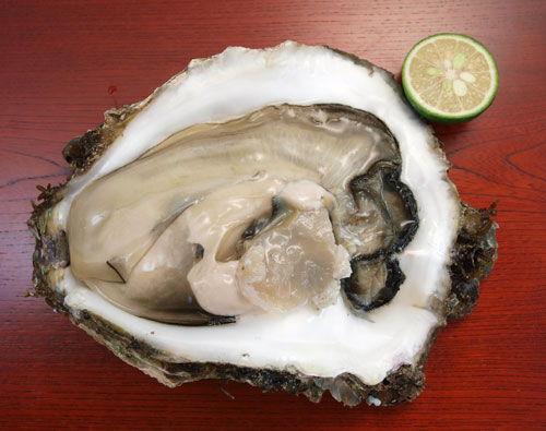 iwagaki09n.jpg