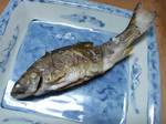 iwana070511.jpg