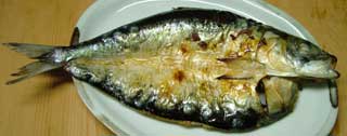 iwasihii.jpg