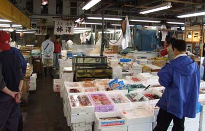 kakizazawa.jpg