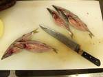 kamasuhiraku080911.jpg