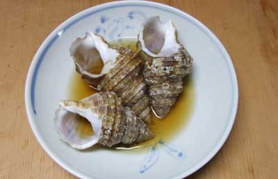karafutoni.jpg