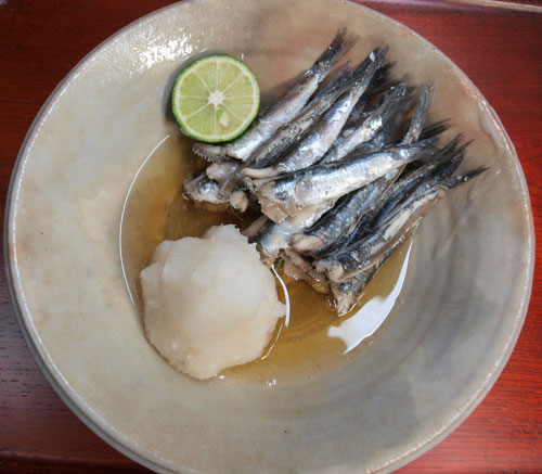 katakuti09.jpg