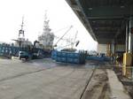 katuo08061111.jpg