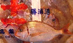 katuura.jpg