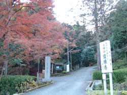 kobotoke.jpg