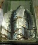 kohada07025.jpg