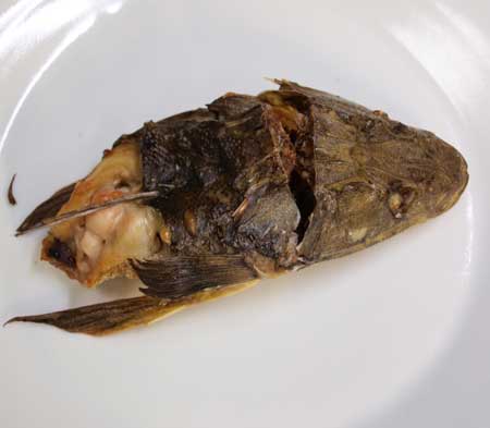 kotikoti.jpg