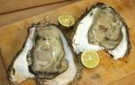 kurahasijima0809715.jpg