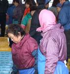 kusafugu0612.jpg