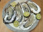 magaki0709111.jpg