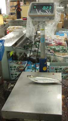 maiwasi067.jpg