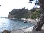 makusimaumi0802.jpg