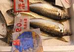 marushou0802111.jpg