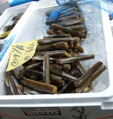 mategai.jpg