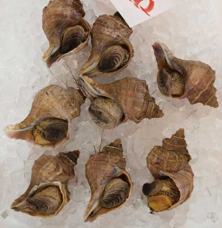 matubu0905.jpg