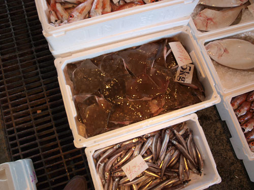 matue09092.jpg