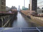 megurogawa0903.jpg