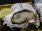 nihonnkaiwahanaia0803.jpg