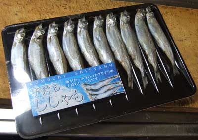 okadasuisann0002.jpg