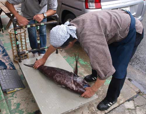 okimedai090456.jpg