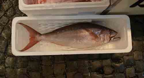 ooguti09.jpg