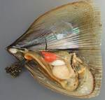 risike07072.jpg