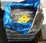 sanma06802.jpg