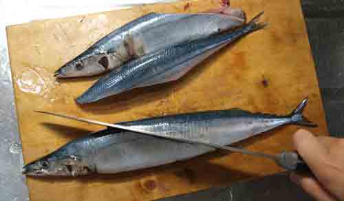 sanma091.jpg