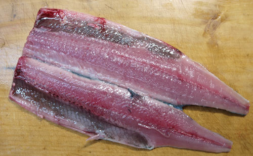 sannma09092.jpg